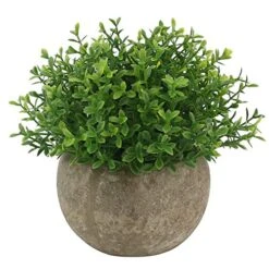 Ogrmar 4PCS Mini Plastic Artificial Plants Grass In Pot/Small Artificial Faux Greenery/Mini Plants Topiary Shrubs Fake Plants For Bathroom, House Decorations 9 Ogrmar 4PCS Mini Plastic Artificial Plants Grass In Pot/Small Artificial Faux Greenery/Mini Plants Topiary Shrubs Fake Plants For Bathroom, House Decorations -Artificial Trees Store 51wR0UvywZL