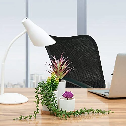 Meneco Faux Succulents Artificial Plants – 16 Pack Lifelike Fake Succulent Plants Unpotted 6 Meneco Faux Succulents Artificial Plants – 16 Pack Lifelike Fake Succulent Plants Unpotted - Image 4