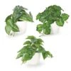 Dahey 3 Pack Fake Potted Plant Artificial Plants For Home Decor Indoor, Broad Leaved Faux Plants Indoor Desk Plant With 4 Inch Frosted Plastic Planter For Office Bathroom Greenery Decoration -Artificial Trees Store 51wnnT18eJL