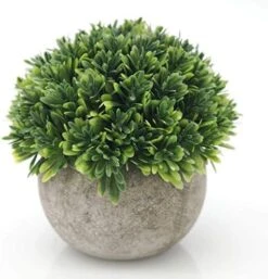 Velener Mini Sage Green Potted Boxwood Topiary Artificial Plants For Home Decor Indoor, Farmhouse House Plant Office Small Desk Shelf Apartment Coffee Bar Bathroom Decor Guest Room, Small Fake Plant 24 Velener Mini Sage Green Potted Boxwood Topiary Artificial Plants For Home Decor Indoor, Farmhouse House Plant Office Small Desk Shelf Apartment Coffee Bar Bathroom Decor Guest Room, Small Fake Plant -Artificial Trees Store 51wyXjOJgJL. AC 1