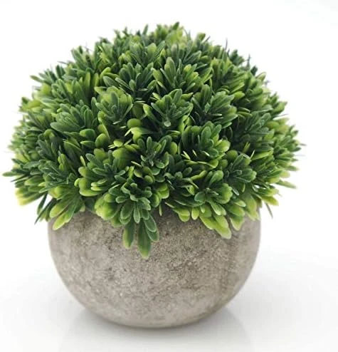 Velener Mini Sage Green Potted Boxwood Topiary Artificial Plants For Home Decor Indoor, Farmhouse House Plant Office Small Desk Shelf Apartment Coffee Bar Bathroom Decor Guest Room, Small Fake Plant 13 Velener Mini Sage Green Potted Boxwood Topiary Artificial Plants For Home Decor Indoor, Farmhouse House Plant Office Small Desk Shelf Apartment Coffee Bar Bathroom Decor Guest Room, Small Fake Plant - Image 11