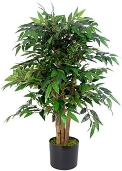Leaf Artificial Ficus Tree/Plant, Luxury Smilax, 90cm -Artificial Trees Store 51x4n6fTLWL. AC