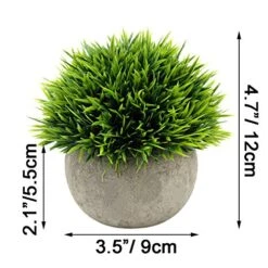 Ogrmar 4PCS Mini Plastic Artificial Plants Grass In Pot/Small Artificial Faux Greenery/Mini Plants Topiary Shrubs Fake Plants For Bathroom, House Decorations 13 Ogrmar 4PCS Mini Plastic Artificial Plants Grass In Pot/Small Artificial Faux Greenery/Mini Plants Topiary Shrubs Fake Plants For Bathroom, House Decorations -Artificial Trees Store 51xtWPuZVjL