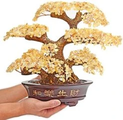 KALIFANO Large Tree Of Life (1,251 Gemstone Count) Chakra Crystal Tree With Healing Properties - Bonsai Feng Shui Money Tree For Healing And Luck -Artificial Trees Store 51y9bHd3zWS. AC