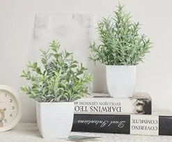 A Bundle Of Pack Mini Potted Fake Plants And 2 Packs Mini Fake Plants Small Artificial Plants For Bathroom Farmhouse Office Home Decor Indoor -Artificial Trees Store 51yYKuxLywL