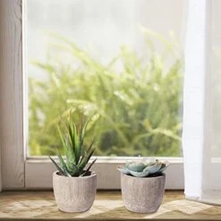 Jelofly Fake Plants Artificial Succulent Plants Assorted Decorative Faux Succulent Potted Fake Cactus Cacti Plants Gray Pots, Set Of 5 -Artificial Trees Store 51ye1VcU6hL