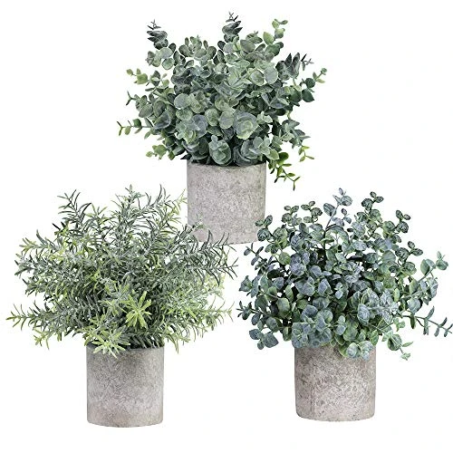 Winlyn Set Of 3 Mini Potted Artificial Eucalyptus Plants Plastic Fake Green Rosemary Plant For Home Decor Office Desk Shower Room Decoration 3 Winlyn Set Of 3 Mini Potted Artificial Eucalyptus Plants Plastic Fake Green Rosemary Plant For Home Decor Office Desk Shower Room Decoration