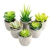 T4U Artificial Succulent Plants In Pot, Assorted Faxu Succulent Fake Cactus Cacti With Grey Pots For Decorative, Set Of 6 1 T4U Artificial Succulent Plants In Pot, Assorted Faxu Succulent Fake Cactus Cacti With Grey Pots For Decorative, Set Of 6 -Artificial Trees Store 51ymioN7Z1L