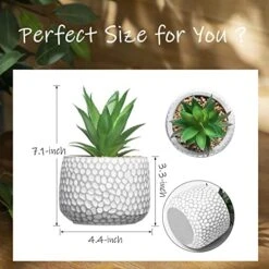CADNLY Small Artificial Plants In Pots - Fake Plants For Bathroom Office Desk - Faux Succulents Plants Artificial Succulents Decor - Faux Plants Indoor Small Plants Shelf Decor Green Potted Plant -Artificial Trees Store 51yzUJgzlbL
