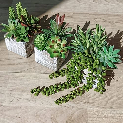 Set Of 3 Small Potted Succulents Plants Decoration Assorted Green Fake Succulents Plants In Rustic Wooden Pots For Home Living Room Bathroom Table Shelf Centerpiece Windowsill Office Desk Indoor Decor 4 Set Of 3 Small Potted Succulents Plants Decoration Assorted Green Fake Succulents Plants In Rustic Wooden Pots For Home Living Room Bathroom Table Shelf Centerpiece Windowsill Office Desk Indoor Decor - Image 2