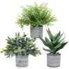 Set Of 3 Assorted Small Potted Plants Fake Eucalyptus Boxwood Plants Aloe Succulent Plant In Black And White Geometric Pots For Table Centerpiece Windowsill Shelf Indoor Outdoor Garden Greenery Decor -Artificial Trees Store 51z6Ig2gXHL