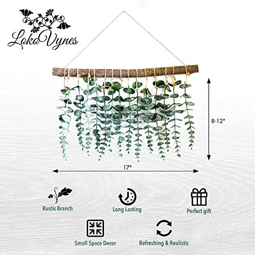 LokoVynes Artificial Eucalyptus Wall Decor - Wall Hanging Eucalyptus Greenery Gives Any Room A Natural, Trendy, Modern Feel - Boho Bedroom Decorations, Bathroom Wall Decor, Kitchen Decorations 4 LokoVynes Artificial Eucalyptus Wall Decor - Wall Hanging Eucalyptus Greenery Gives Any Room A Natural, Trendy, Modern Feel - Boho Bedroom Decorations, Bathroom Wall Decor, Kitchen Decorations - Image 2