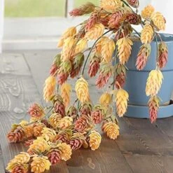 Factory Direct Craft Group Of 4 Green Cascading Artificial Hops Bushes For Home Decor | Indoor Or Outdoor Use | 26" L -Artificial Trees Store 610FGn80ZcL. AC