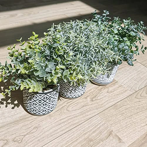 Set Of 3 Assorted Small Potted Plants Fake Eucalyptus Rosemary Plants In Black & White Geometric Concrete Ceramic Pots For Table Centerpiece Desk Shelf Kitchen Office Indoor Outdoor Greenery Decor 7 Set Of 3 Assorted Small Potted Plants Fake Eucalyptus Rosemary Plants In Black & White Geometric Concrete Ceramic Pots For Table Centerpiece Desk Shelf Kitchen Office Indoor Outdoor Greenery Decor - Image 5