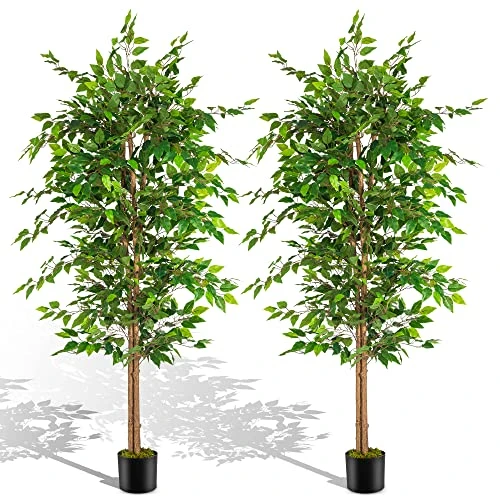 NeuType Artificial Ficus Tree 6FT, 2Packs Fake Ficus Tree Plant With Warm White LED String Lights, Tall Fake Plant Potted Faux Tree Indoor Home Office Decor Floor Plants For Living Room (71 In) 3 NeuType Artificial Ficus Tree 6FT, 2Packs Fake Ficus Tree Plant With Warm White LED String Lights, Tall Fake Plant Potted Faux Tree Indoor Home Office Decor Floor Plants For Living Room (71 In)
