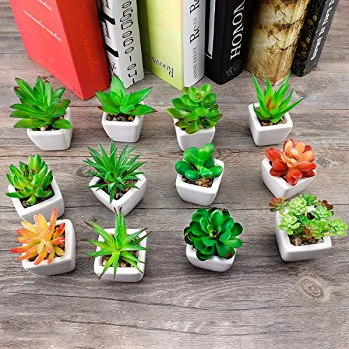 Faux Succulents In Pots Fake Succulents Small Artificial Succulents Potted For Home Office Desk Farmhouse Greenery Decor, 12 Pack 4 Faux Succulents In Pots Fake Succulents Small Artificial Succulents Potted For Home Office Desk Farmhouse Greenery Decor, 12 Pack - Image 2