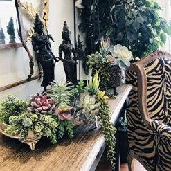 Caqpo Artificial Succulents - 15 Pack - Premium Unpotted Succulent Plants Artificial - Realistic Textured Succulents - Fake Succulent Plants For DIY - Faux Cactus Plant Bulk - Feaux Succulent Plants -Artificial Trees Store 619mSHp3bqL