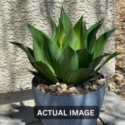 Season's Need 20" Agave Artificial Succulent Large Plants For Indoor Outdoor, Fake Tropical Farmhouse Aesthetic Décor, Patio Porch Decorative Silk Plant, Unpotted Green Spiked Agave (Pack Of 1)