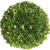 Mills Floral Company Boxwood Ball 6" 2 Mills Floral Company Boxwood Ball 6" -Artificial Trees Store 61BABAHj2nL