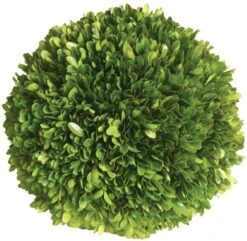Mills Floral Company Boxwood Ball 6"