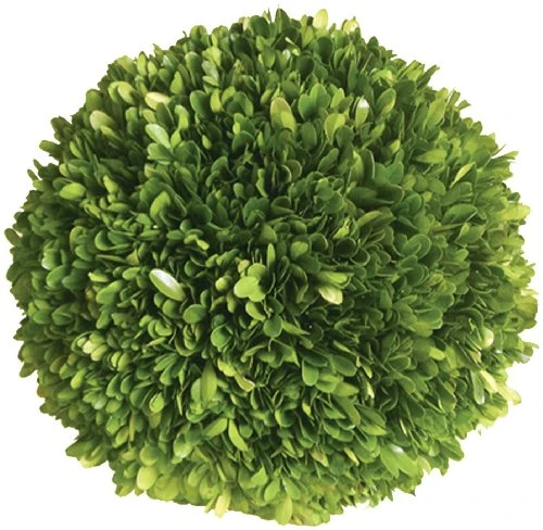 Mills Floral Company Boxwood Ball 6" 3 Mills Floral Company Boxwood Ball 6"