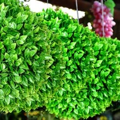 FLORALEAF 15" Artificial Boxwood Topiary Ball Topiary Tree Plants Lifelike Substitute Artifical Plant Balls For Wedding Decore -Indoor/Outdoor Decoration, Rose Leaf, 1 Piece 21 FLORALEAF 15" Artificial Boxwood Topiary Ball Topiary Tree Plants Lifelike Substitute Artifical Plant Balls For Wedding Decore -Indoor/Outdoor Decoration, Rose Leaf, 1 Piece -Artificial Trees Store 61CbFRSEHvL