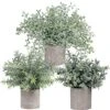 Winlyn Mini Potted Plants Artificial Flocked Eucalyptus Boxwood Rosemary Greenery In Pots Faux Potted Herbs Small Houseplants 8.8"-10" Tall For Indoor Greenery Tabletop Décor Centerpiece 3 Pack -Artificial Trees Store 61G50qe7J0L