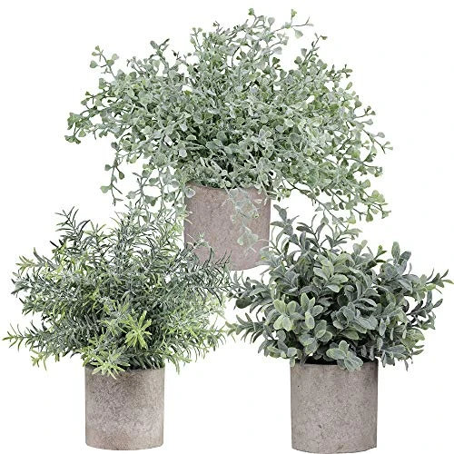 Winlyn Mini Potted Plants Artificial Flocked Eucalyptus Boxwood Rosemary Greenery In Pots Faux Potted Herbs Small Houseplants 8.8"-10" Tall For Indoor Greenery Tabletop Décor Centerpiece 3 Pack 3 Winlyn Mini Potted Plants Artificial Flocked Eucalyptus Boxwood Rosemary Greenery In Pots Faux Potted Herbs Small Houseplants 8.8"-10" Tall For Indoor Greenery Tabletop Décor Centerpiece 3 Pack