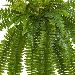 Nearly Natural 35” Boston Fern Artificial (Set Of 2) Silk Plants Green & 5357 4ft. Golden Cane Palm Tree,Green 12 Nearly Natural 35” Boston Fern Artificial (Set Of 2) Silk Plants Green & 5357 4ft. Golden Cane Palm Tree,Green -Artificial Trees Store 61JWBjKtC4L 1