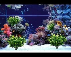 TEMCHY 24 Bundles Outdoor Artificial Boxwood Stems Faux Plants Shrubs, Fake UV Resistant Greenery Foliage Spring For Farmhouse, Home, Garden, Office, Patio, Wedding Decor -Artificial Trees Store 61MZu3mUhsL