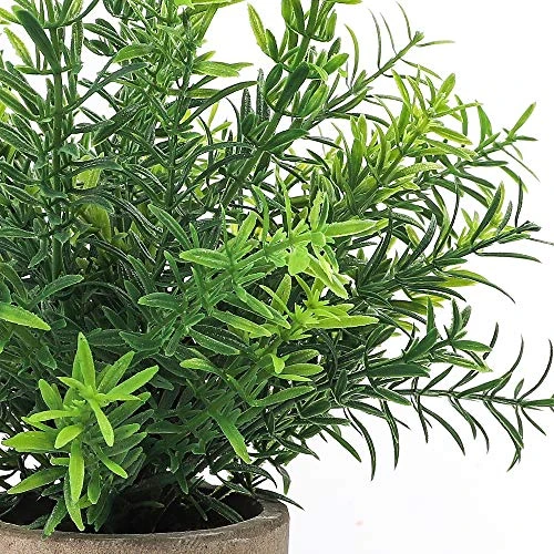 CEWOR 2 Pack Artificial Plants Mini Potted Plants Fake Bamboo Leaves Faux Rosemary Small House Plants For Home Office Desk Room Decor 4 CEWOR 2 Pack Artificial Plants Mini Potted Plants Fake Bamboo Leaves Faux Rosemary Small House Plants For Home Office Desk Room Decor - Image 2