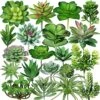 Winlyn 20 Pcs Assorted Artificial Succulents Plants Unpotted Small Green Cactus Echeveria Air Plant Picks Fake Succulents Bulk For Succulent Garden Wreath Floral Arrangement Indoor Outdoor Home Decor -Artificial Trees Store 61Psz8NbA3L
