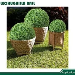 APICRED Boxwood Balls Artificial Topiary Ball Lifelike Plants Topiary Boxwood For Home Garden, Patio, Planter, Deck, Backyard Indoor/Outdoor Decore, 11 ", 2 Packs 22 APICRED Boxwood Balls Artificial Topiary Ball Lifelike Plants Topiary Boxwood For Home Garden, Patio, Planter, Deck, Backyard Indoor/Outdoor Decore, 11 ", 2 Packs -Artificial Trees Store 61QYAf2zWpS