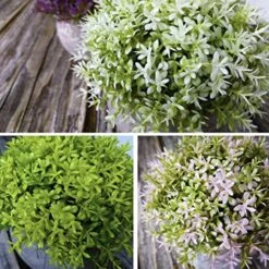 Tuokor 4.75" Mini Artificial Plastic Plants Green Grass Colorful Shrubs Faux Flowers With Gray Pots For Home Decor, Office Decor - Set Of 6 10 Tuokor 4.75" Mini Artificial Plastic Plants Green Grass Colorful Shrubs Faux Flowers With Gray Pots For Home Decor, Office Decor - Set Of 6 -Artificial Trees Store 61S7JIRQHfL