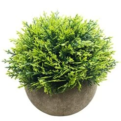 Svenee Mini Fake Cypress Cedar Plants For Bathroom Home Office Desk Decor, Small Artificial Faux Greenery For Farmhouse Decorations (Potted Plants) (1)