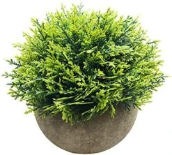 Svenee Mini Fake Cypress Cedar Plants For Bathroom Home Office Desk Decor, Small Artificial Faux Greenery For Farmhouse Decorations (Potted Plants) (1) -Artificial Trees Store 61TNsSWlMcS. AC 1