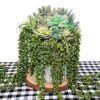 Supla 4 Pcs Artificial Hanging Succulents Faux Burro's Tail Picks Trailing String Of Pearls Succulents Fake Greenery Sprays For Basket Planter Centerpiece Floral Arrangement Indoor Outdoor Decor -Artificial Trees Store 61WT4HxS4QS