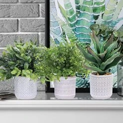 Set Of 3 Assorted Small Potted Plants Fake Eucalyptus Boxwood Plants And Aloe Succulent Plant In Gray Geometric Concrete Ceramic Pots For Gifts Home Kitchen Table Desk Indoor Outdoor Greenery Decor 9 Set Of 3 Assorted Small Potted Plants Fake Eucalyptus Boxwood Plants And Aloe Succulent Plant In Gray Geometric Concrete Ceramic Pots For Gifts Home Kitchen Table Desk Indoor Outdoor Greenery Decor -Artificial Trees Store 61XXjei6qpL