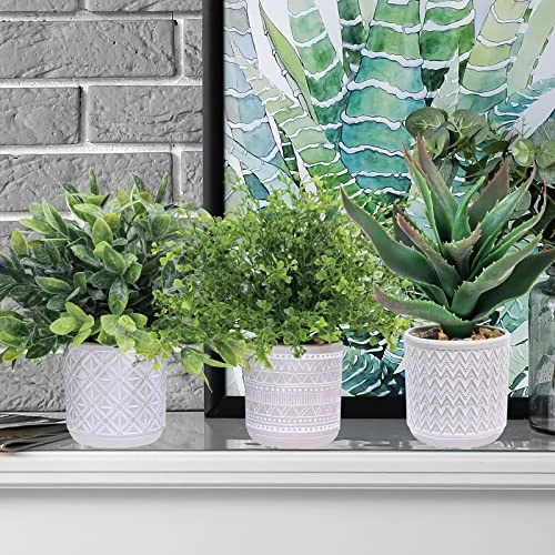 Set Of 3 Assorted Small Potted Plants Fake Eucalyptus Boxwood Plants And Aloe Succulent Plant In Gray Geometric Concrete Ceramic Pots For Gifts Home Kitchen Table Desk Indoor Outdoor Greenery Decor 5 Set Of 3 Assorted Small Potted Plants Fake Eucalyptus Boxwood Plants And Aloe Succulent Plant In Gray Geometric Concrete Ceramic Pots For Gifts Home Kitchen Table Desk Indoor Outdoor Greenery Decor - Image 3