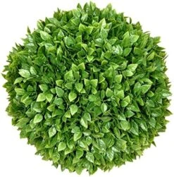 ECOOPTS 15 Inch Artificial Topiary Ball Lifelike Plants Boxwood Decoration For Home Garden Porch Backyard Balcony Wedding Party (1 Pack) 28 ECOOPTS 15 Inch Artificial Topiary Ball Lifelike Plants Boxwood Decoration For Home Garden Porch Backyard Balcony Wedding Party (1 Pack) -Artificial Trees Store 61XeuFvMJUL. AC 3