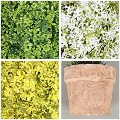 OAutoSjy Artificial Ball Shaped Tree Artificial Plants Potted Fake Topiary Single Ball Tree In Pot Simulation Plastic Faux Flower Ornament Tabletop Decorative Home Indoor Outdoor Decor, White Type 1 14 OAutoSjy Artificial Ball Shaped Tree Artificial Plants Potted Fake Topiary Single Ball Tree In Pot Simulation Plastic Faux Flower Ornament Tabletop Decorative Home Indoor Outdoor Decor, White Type 1 -Artificial Trees Store 61aMccKc5VL