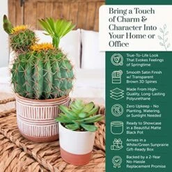 Sunprairie 14” & 30” Tall Rustic Artificial Cactus In Bloom With Soft Spines —Plant Decor Including Attractively Matching Matte Black Pot—Gorgeous Artificial Succulent Plants. -Artificial Trees Store 61d2xMaSUnL