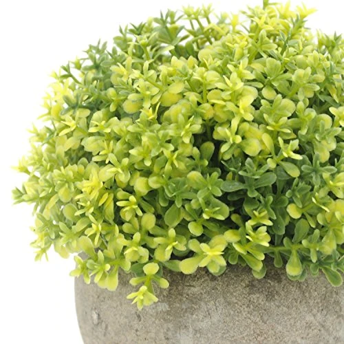 Velener Mini Plastic Artificial Pine Ball Topiary Plant With Pots For Home Decor (Green Clover) 4 Velener Mini Plastic Artificial Pine Ball Topiary Plant With Pots For Home Decor (Green Clover) - Image 2