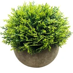 Svenee Mini Fake Cypress Cedar Plants For Bathroom Home Office Desk Decor, Small Artificial Faux Greenery For Farmhouse Decorations (Potted Plants) (1) -Artificial Trees Store 61etYtuFsJS