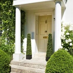 2 X Artificial Premium Quality Topiary Boxwood Pyramid Trees In Black Square Planter For Indoor Outdoor Decor, UV Stable (4ft/120cm) … -Artificial Trees Store 61f5VQH7w7L