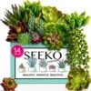Seeko Artificial Succulents (14 Pack) - Premium Succulent Plants Artificial - Realistic Faux Succulents - Unpotted Textured Fake Succulents Decor For DIY - Fake Plants 1 Seeko Artificial Succulents (14 Pack) - Premium Succulent Plants Artificial - Realistic Faux Succulents - Unpotted Textured Fake Succulents Decor For DIY - Fake Plants -Artificial Trees Store 61hhUjBIxpL