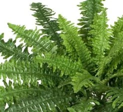 Two 40" Spread Artificial Boston Fern 48 Leaves Silk Hanging Bush Tree Plant -Artificial Trees Store 61jYswdWzNL
