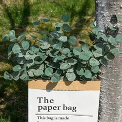 Miracliy 6 PCS Artificial Eucalyptus Leaves Greenery Stems Faux Silk Silver Dollar Eucalyptus Leaf Branches Green Bulk For Home Party Wedding Decoration -Artificial Trees Store 61ldduzuRSL