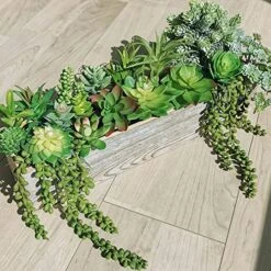 Winlyn 19 Pcs Assorted Artificial Succulents Plants Unpotted Small Green Aloe Hops Cactus String Of Pearls Picks Fake Succulents Bulk For Succulent Garden Floral Arrangement Indoor Outdoor Home Decor -Artificial Trees Store 61pFobZVcML