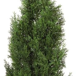 Nearly Natural 5172 4ft. Cedar Tree Silk Tree (Indoor/Outdoor),Green,49.5" X 9" X 9" 12 Nearly Natural 5172 4ft. Cedar Tree Silk Tree (Indoor/Outdoor),Green,49.5" X 9" X 9" -Artificial Trees Store 61r4Oyvi0CL
